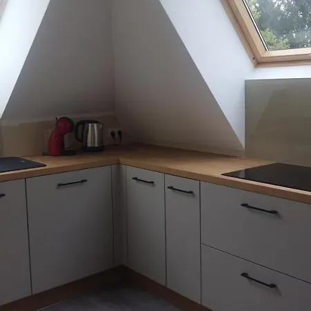 Apartament Henner Des Trois Frontieres Saint-Louis (Haut-Rhin)